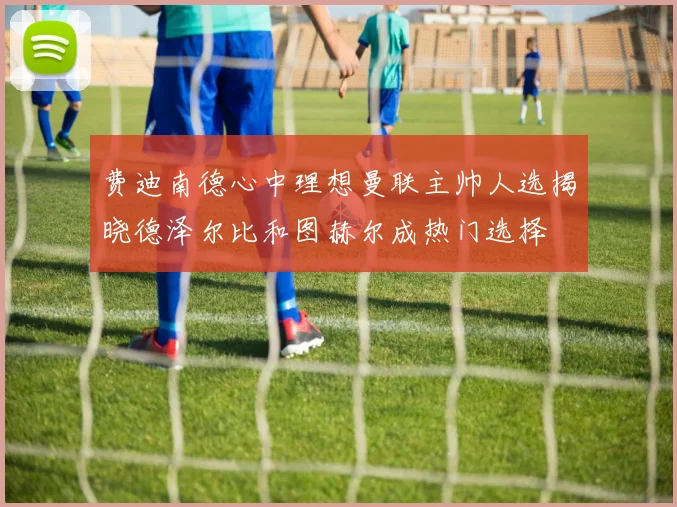 费迪南德心中理想曼联主帅人选揭晓德泽尔比和图赫尔成热门选择